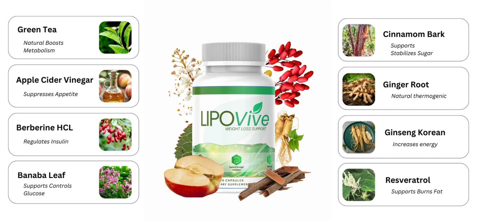 lipovive-ingredients